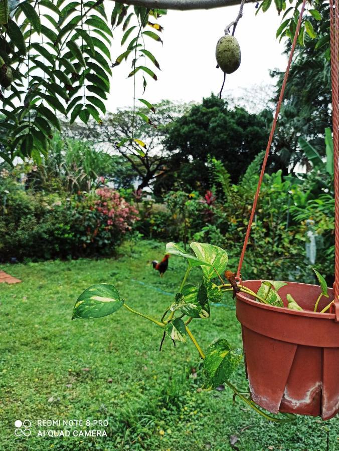 Homestay Bdr Bukit Tinggi Tropicana Garden Klang